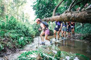 BIB: 
                            <button type="button" onclick="openModal(25474364)" class="btn btn-primary btn-sm float-right btn-popup" data-toggle="modal" data-target=".modal-high-quality">
                        <i class="fas fa-shopping-cart"></i> Add to Cart
                    </button>
                                            <button type="button" onclick="isThisMe(25474364, true)" class="btn btn-success btn-sm float-right btn-popup btn-isme hidden" data-toggle="tooltip" data-placement="bottom" title="นี่คือรูปของคุณใช่ไหม คลิกที่นี่เพื่อเอาเข้าอัลบั้ม">
                        <i class="fas fa-plus"></i> Add to album
                    </button>
                    <button type="button" onclick="isThisMe(25474364, false)" class="btn btn-warning btn-sm float-right btn-popup btn-isnotme hidden">
                        <i class="fas fa-ban"></i> Remove from album
                    </button>